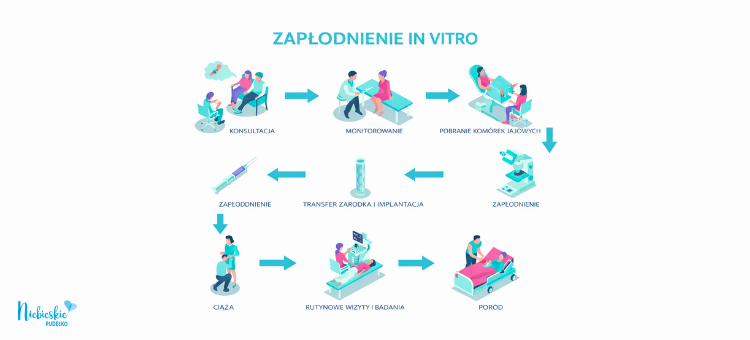 Procedura in vitro krok po kroku Infografika przedstawiająca kolejne etapy zapłodnienia in vitro – od konsultacji lekarskiej do porodu