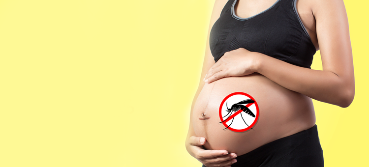 komary w ciąży