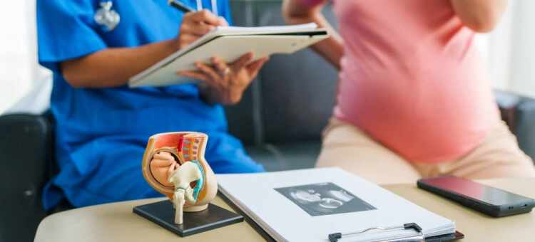 Konsultacja ginekologiczna z kobietą w ciąży, lekarz pokazuje model miednicy podczas wizyty