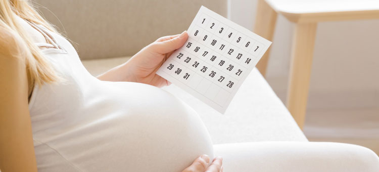 kobieta w ciąży z kalendarzem trwania ciąży