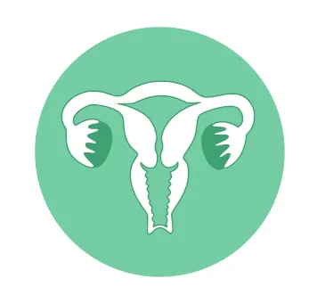 Wektorowa ilustracja anatomii żeńskiego układu rozrodczego, kolor zielony