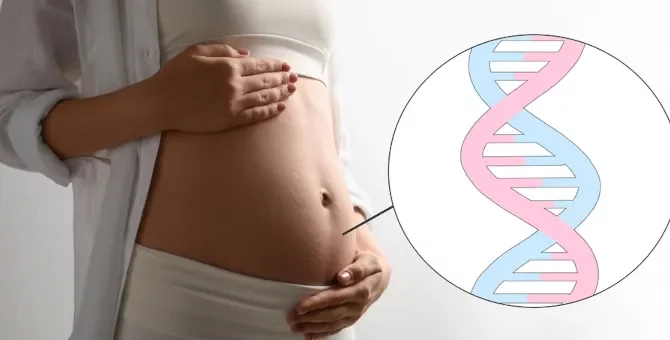 Ilustracja struktury DNA dziecka na tle białym, po lewej brzuch ciężarnej kobiety
