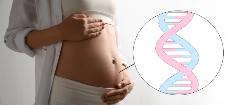 Ilustracja struktury DNA dziecka na tle białym, po lewej brzuch ciężarnej kobiety