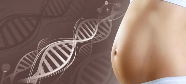 Brzuch ciężarnej kobiety oraz struktury DNA