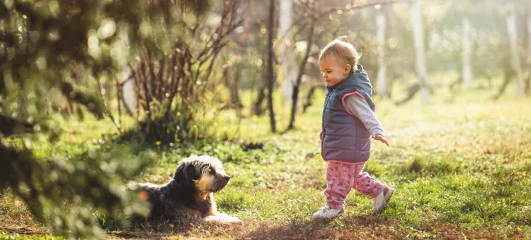W słoneczny dzień, małe dziecko bawi się ze swoim psem