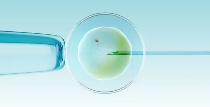 Ilustracja 3D przedstawiająca sztuczne zapłodnienie in vitro