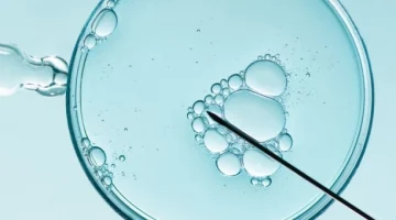 Procedura zapłodnienia in vitro widoczna pod mikroskopem w warunkach laboratoryjnych