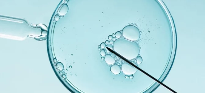 Procedura zapłodnienia in vitro widoczna pod mikroskopem w warunkach laboratoryjnych