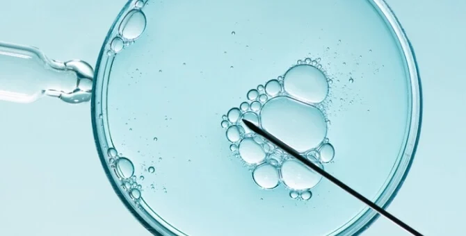 Procedura zapłodnienia in vitro widoczna pod mikroskopem w warunkach laboratoryjnych