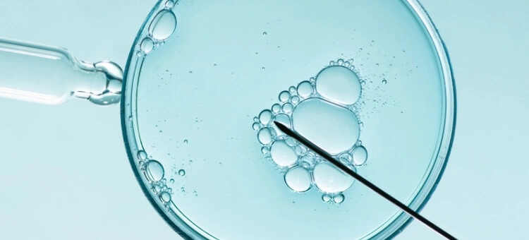 Procedura zapłodnienia in vitro widoczna pod mikroskopem w warunkach laboratoryjnych