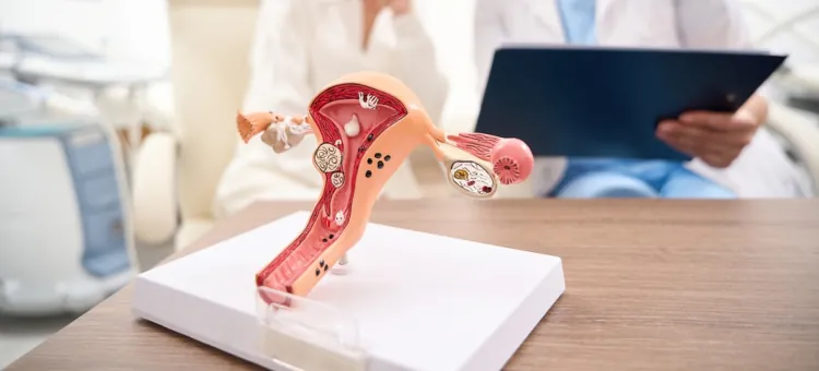 Specjalistka w tle tłumaczy pacjentce wyniki badań z modelem macicy na pierwszym planie