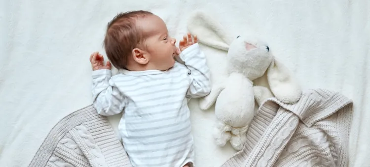 FAQ – zez u dzieci Maleńki bobas zasnął obok puszystego królika na miękkim jasnym swetrze