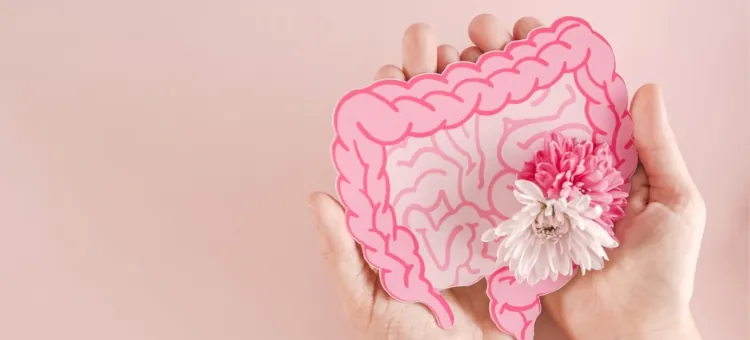 Model układu trawiennego podtrzymywany przez ludzkie dłonie oraz upiększony kwiatami